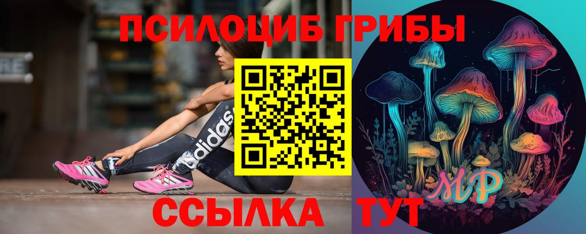 Железноводск  Псилоцибиновые грибы MAGIC MUSHROOMS  Вход с VPN  Галлюциногенные грибы Cubensis 